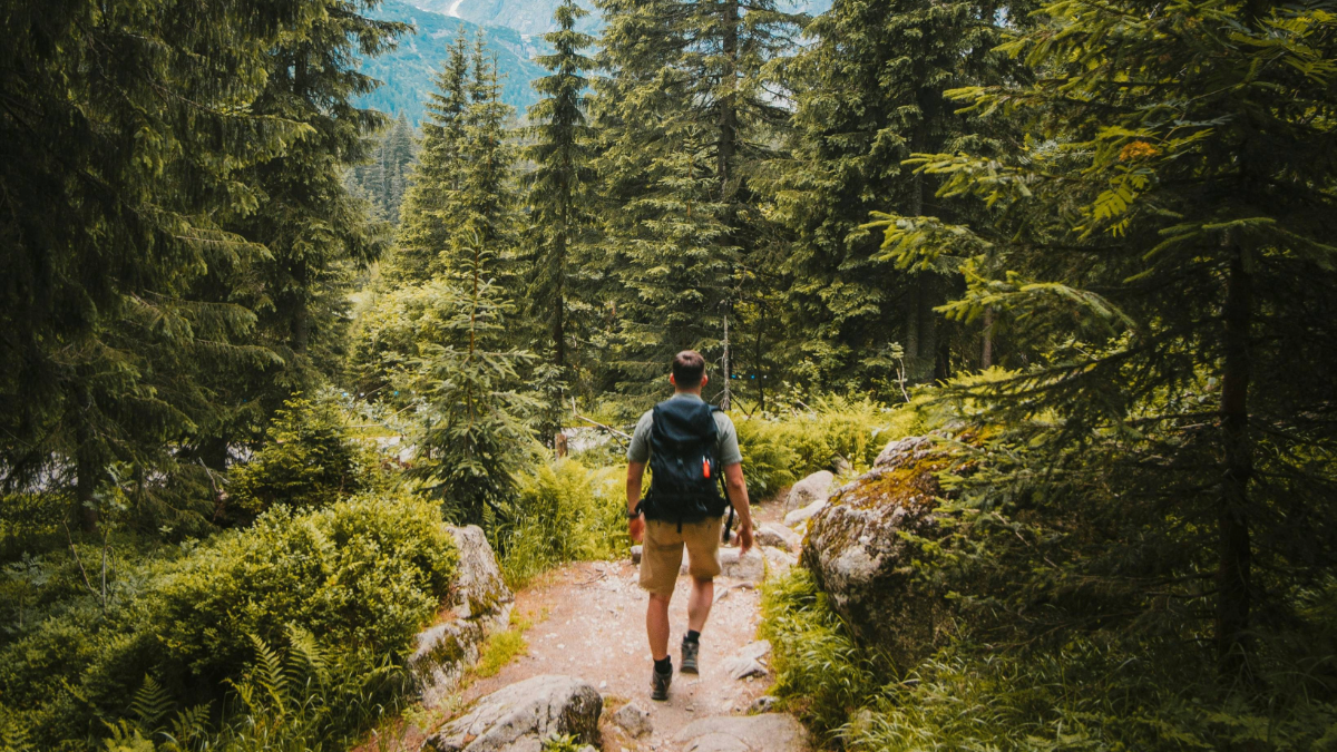 Man walking through forest on a hike